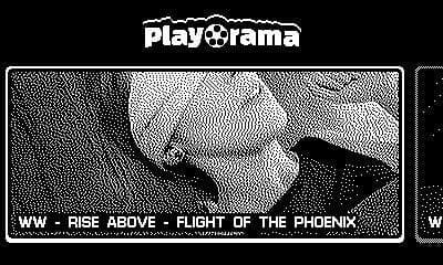 Wren Wild video pack for Playorama