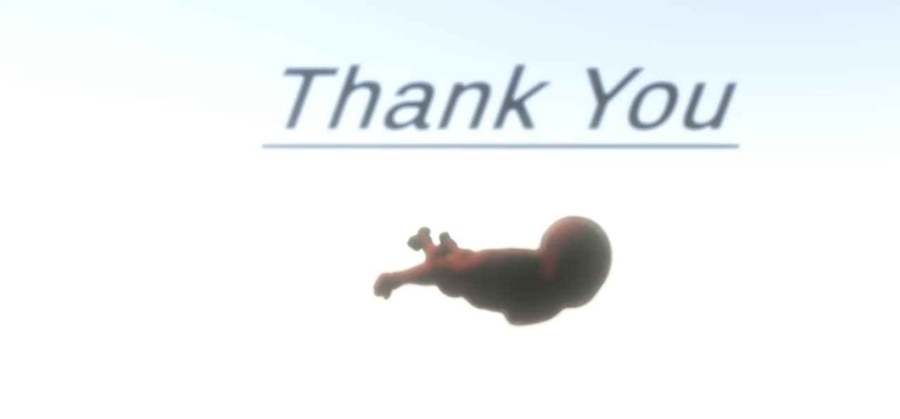 Thank you (Nathan Bonkena)