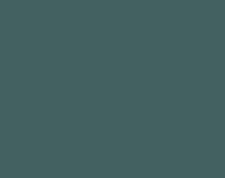 Hypervisible