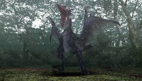 Monster Hunter Freedom screenshot 5
