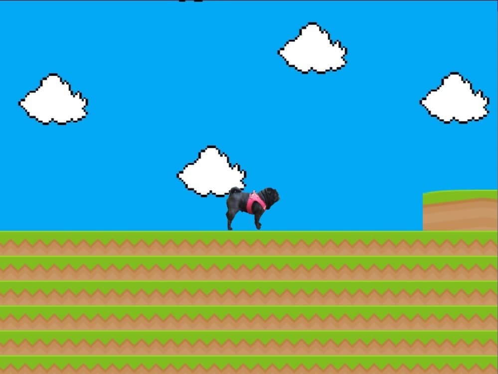 Jesse the Pug screenshot 4