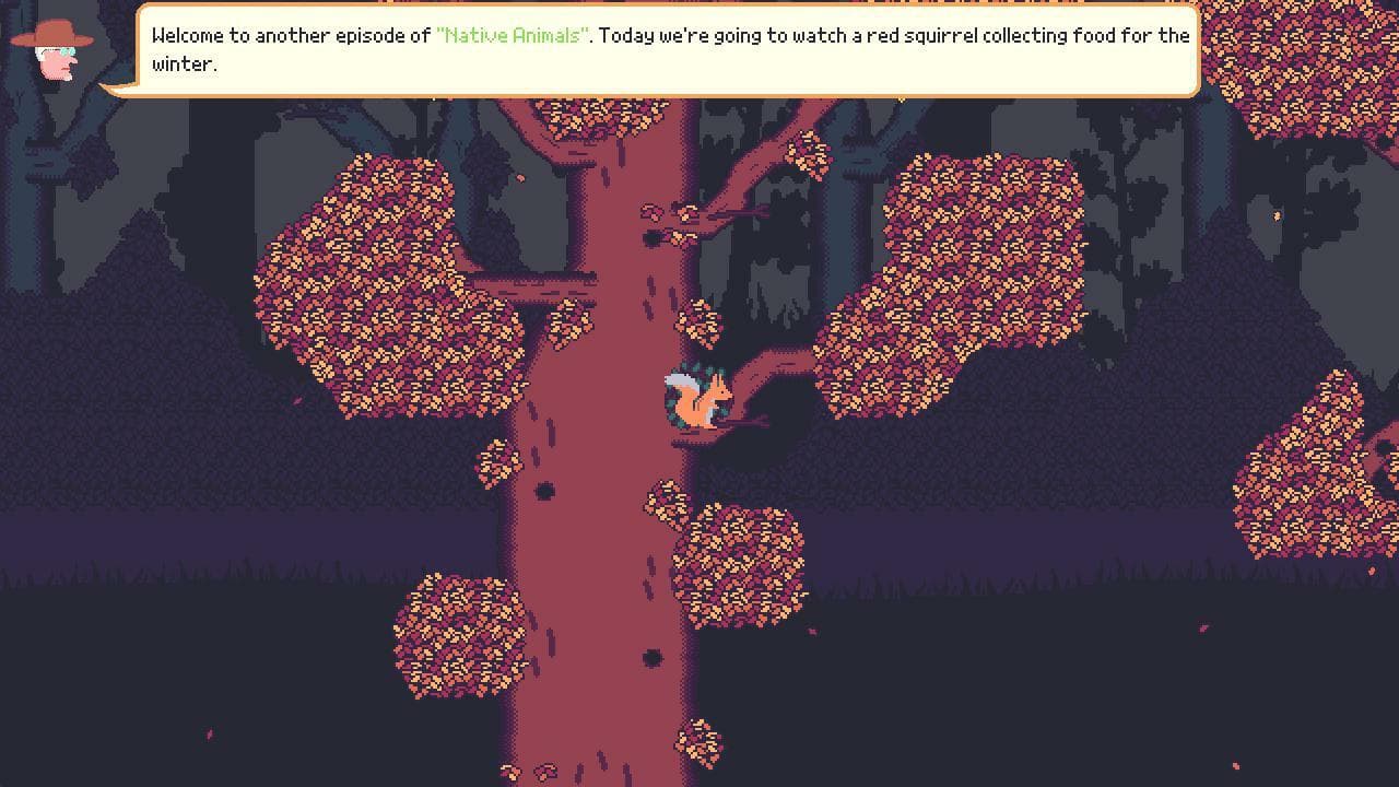 Native Animals: The Red Squirrel screenshot 2