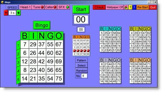 Bingo (TeMooi2023)