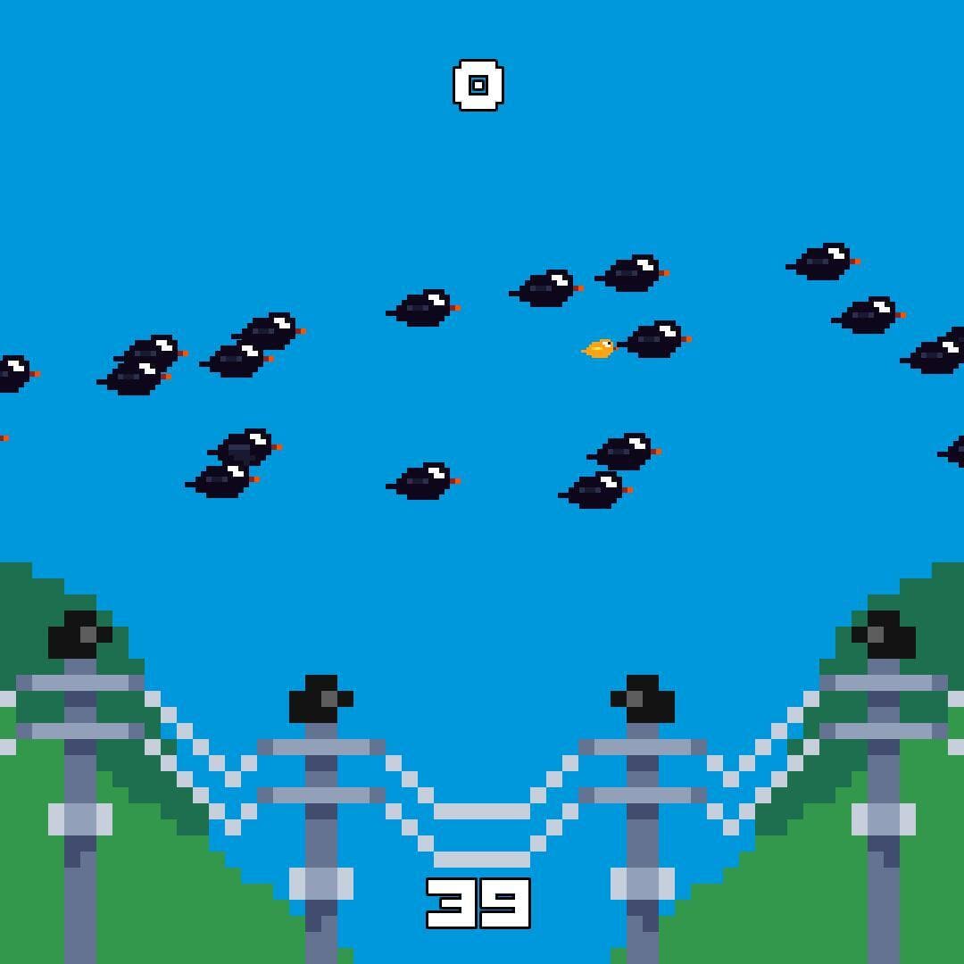 The Bird Hunt
