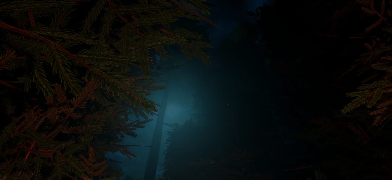 WOODS Part I