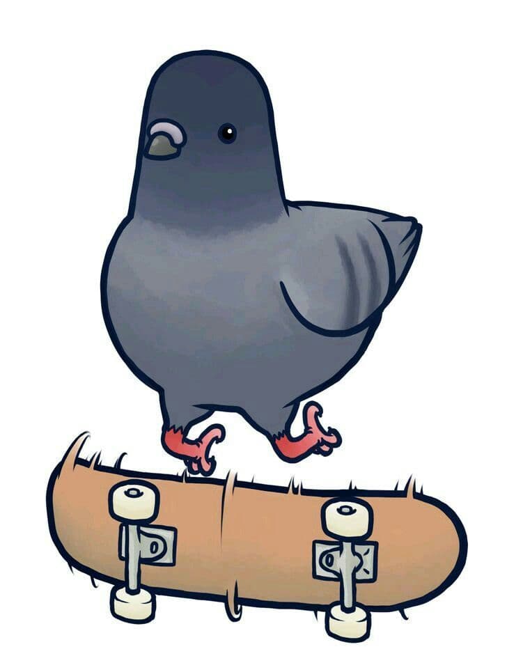 Pigeon Apocalypse
