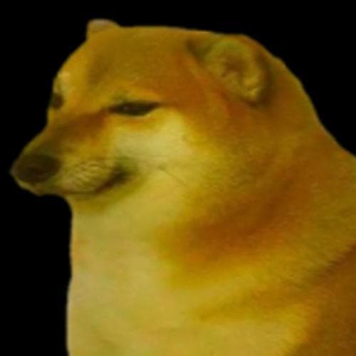 Doggo Saga
