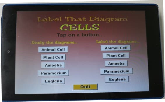 Label that Diagram - Cells screenshot 3