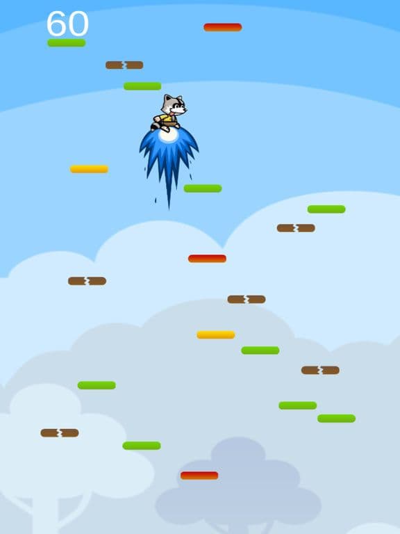 Jumping Raccoon