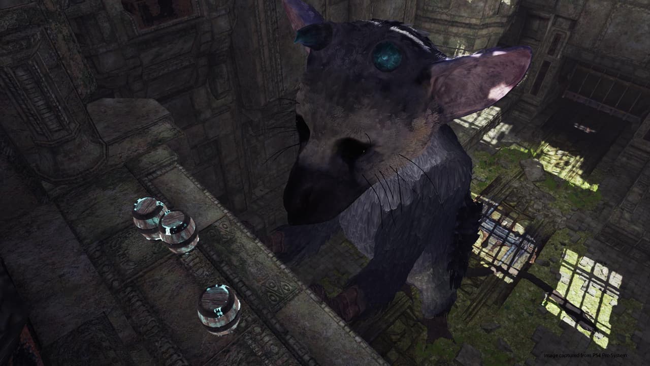 The Last Guardian VR Demo screenshot 3