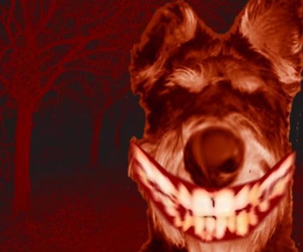evilschnauzer.exe