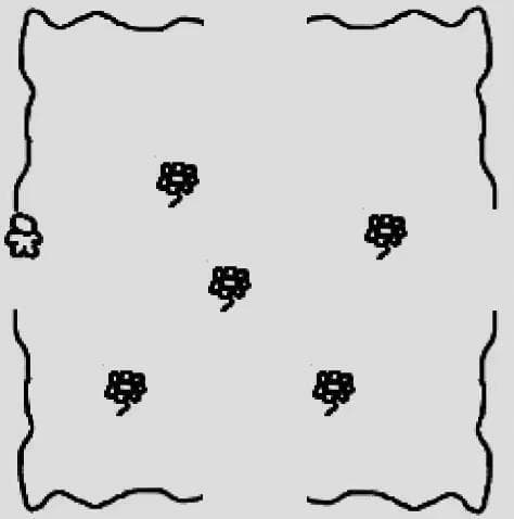 Write your games title here