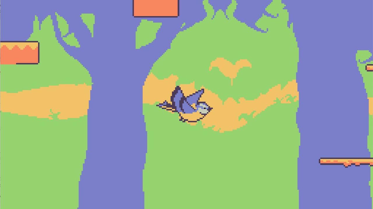Little Birbs Big Adventure