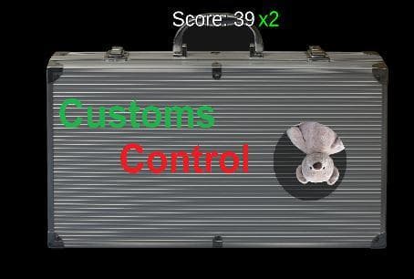 Customs Control