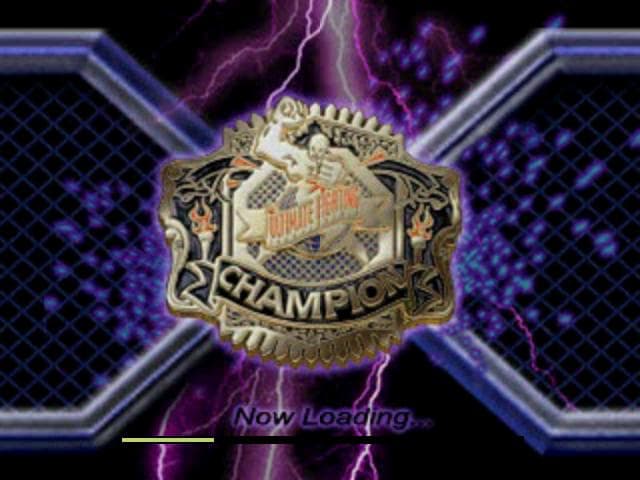 Ultimate Fighting Championship