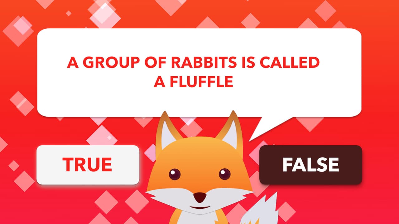 True or False Universe screenshot 2