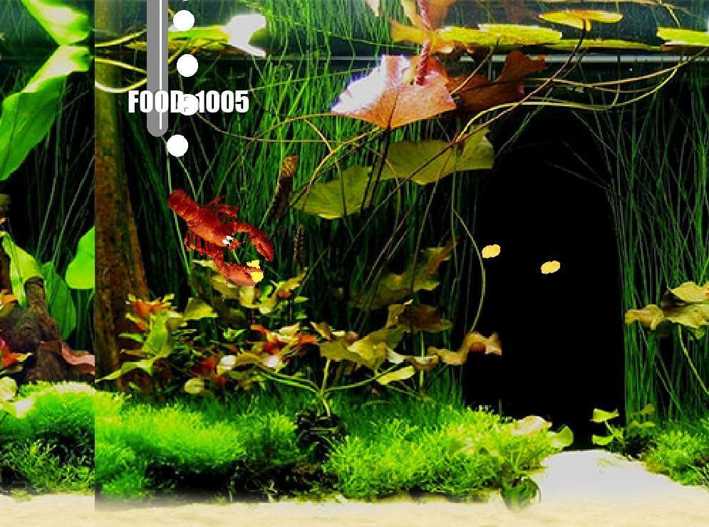 Aquarium Life screenshot 2