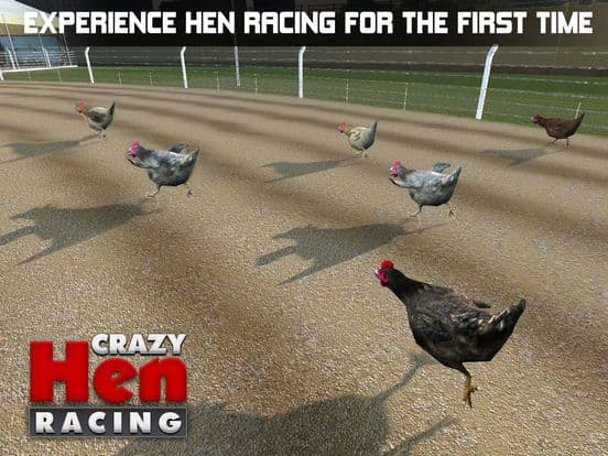 Hen Racing Simulator - Race Free Range Chickens screenshot 5