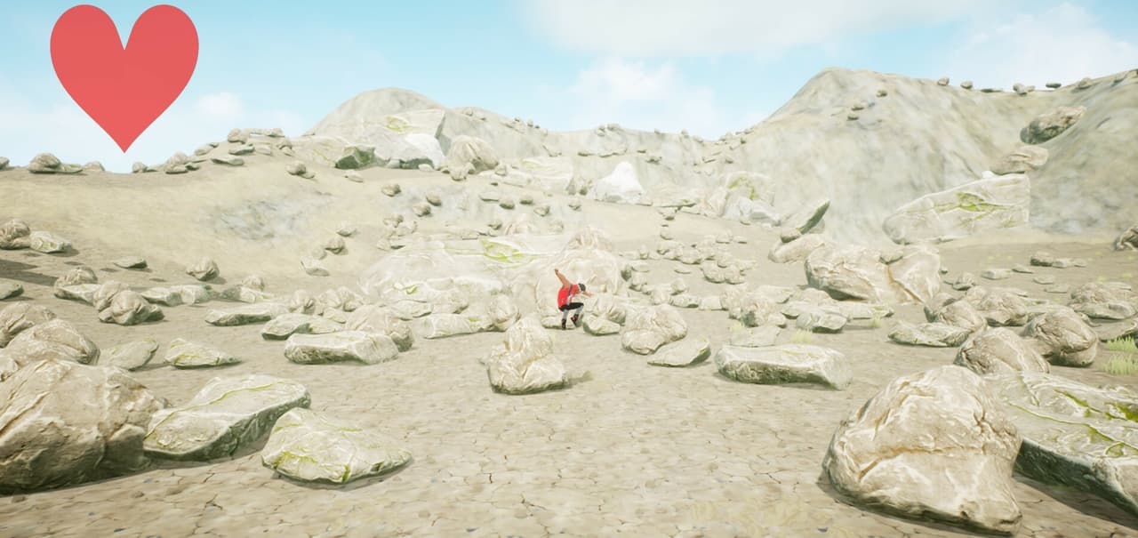 Wild Runs