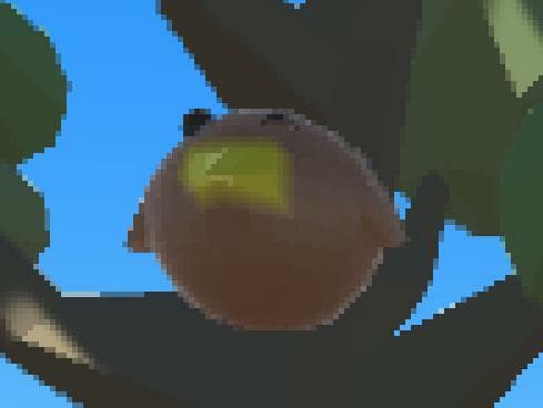 Save The Kiwi Update