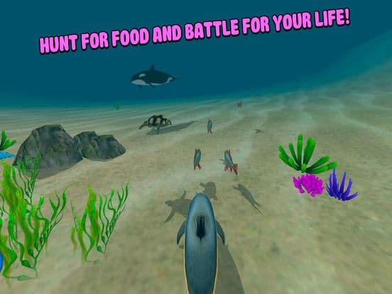 Sea Simulator: Dolphin 3D