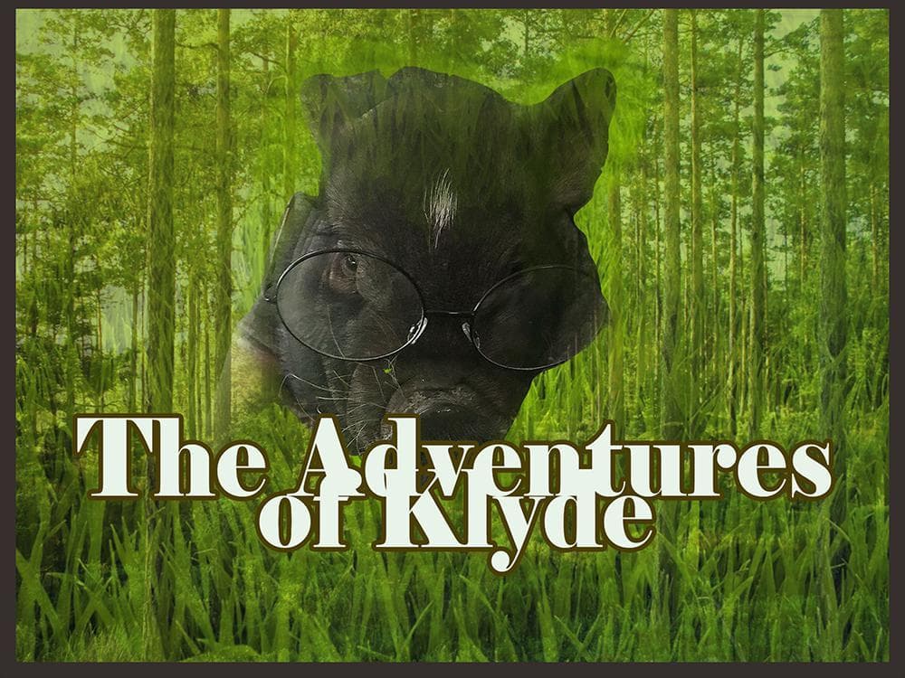 The Adventures of Klyde