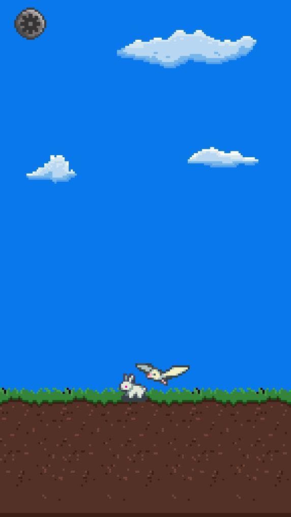 bird dash