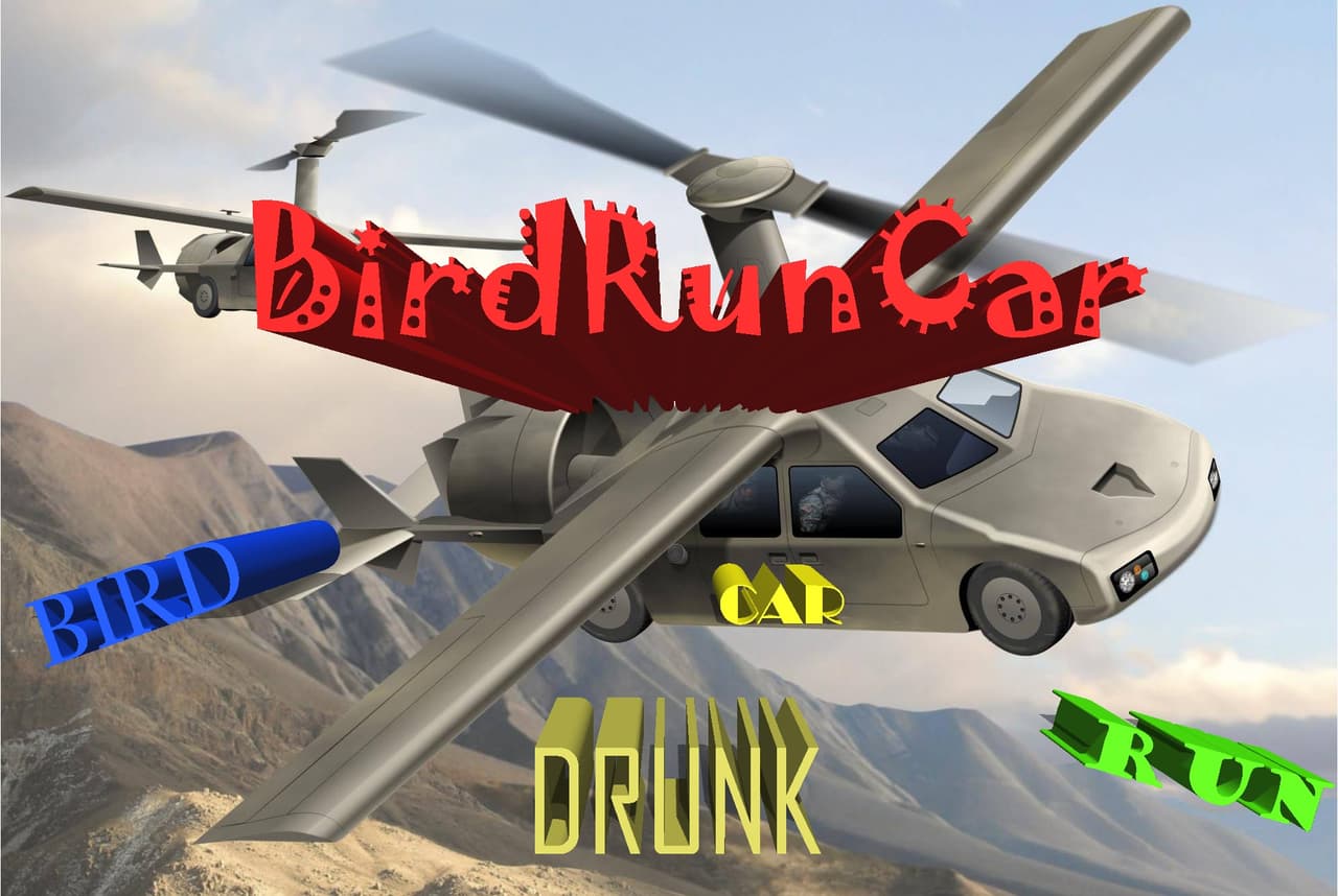 BirDrunCar