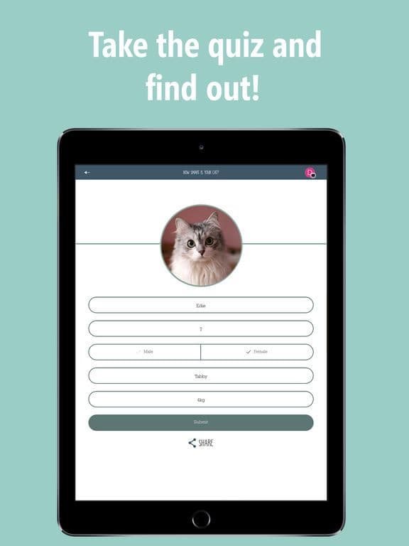 How Smart Is Your Cat? Fun Ways to Find Out! screenshot 3