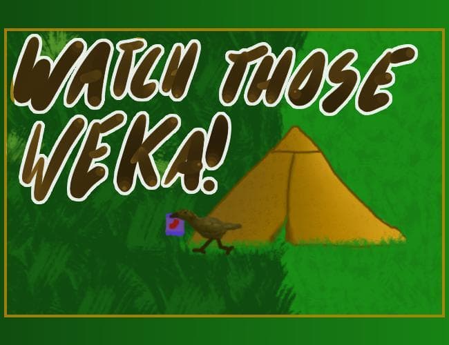 Watch those weka!