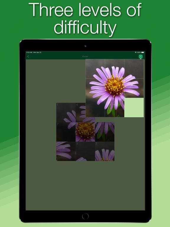 Language of Nature screenshot 4