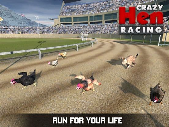 Hen Racing Simulator - Race Free Range Chickens screenshot 4