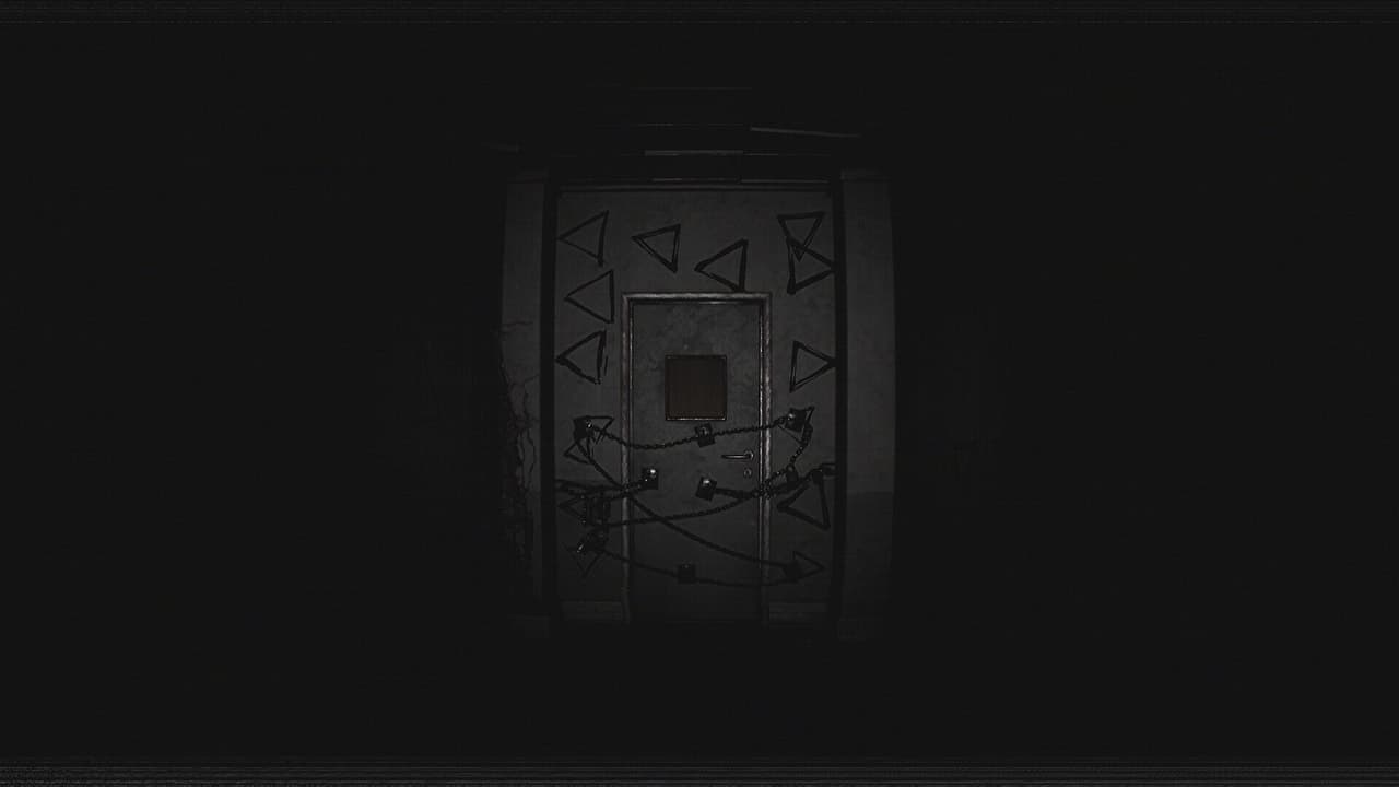 Paranormal VHS