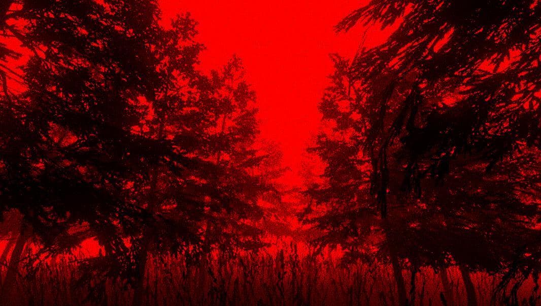 Project 404 stories: forest(beta) screenshot 2