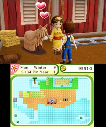 Harvest Moon: Skytree Village screenshot 4