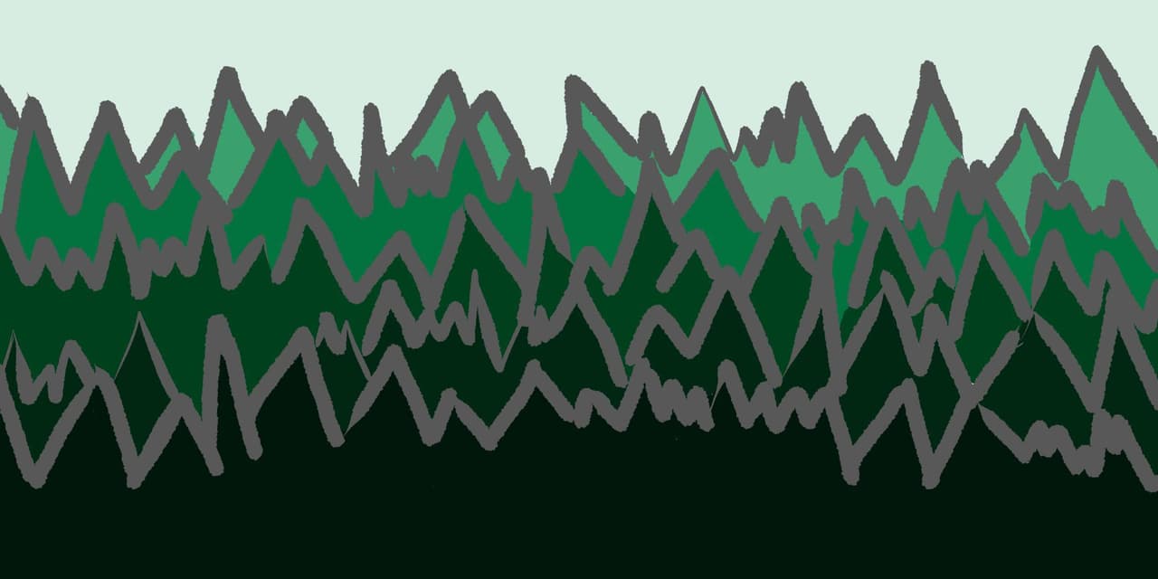 Rebuild the Forests!!!