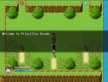 Priscillas Dream screenshot 2