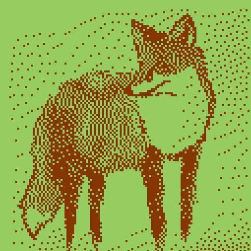 Im fox!