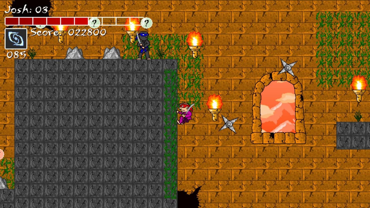 Ninja Force screenshot 5