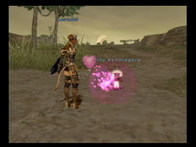 Final Fantasy XI screenshot 4