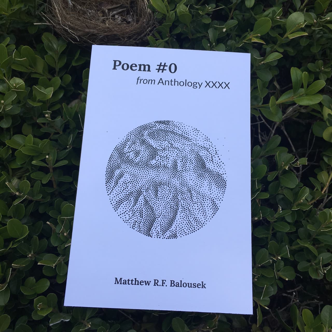 Anthology XXXX