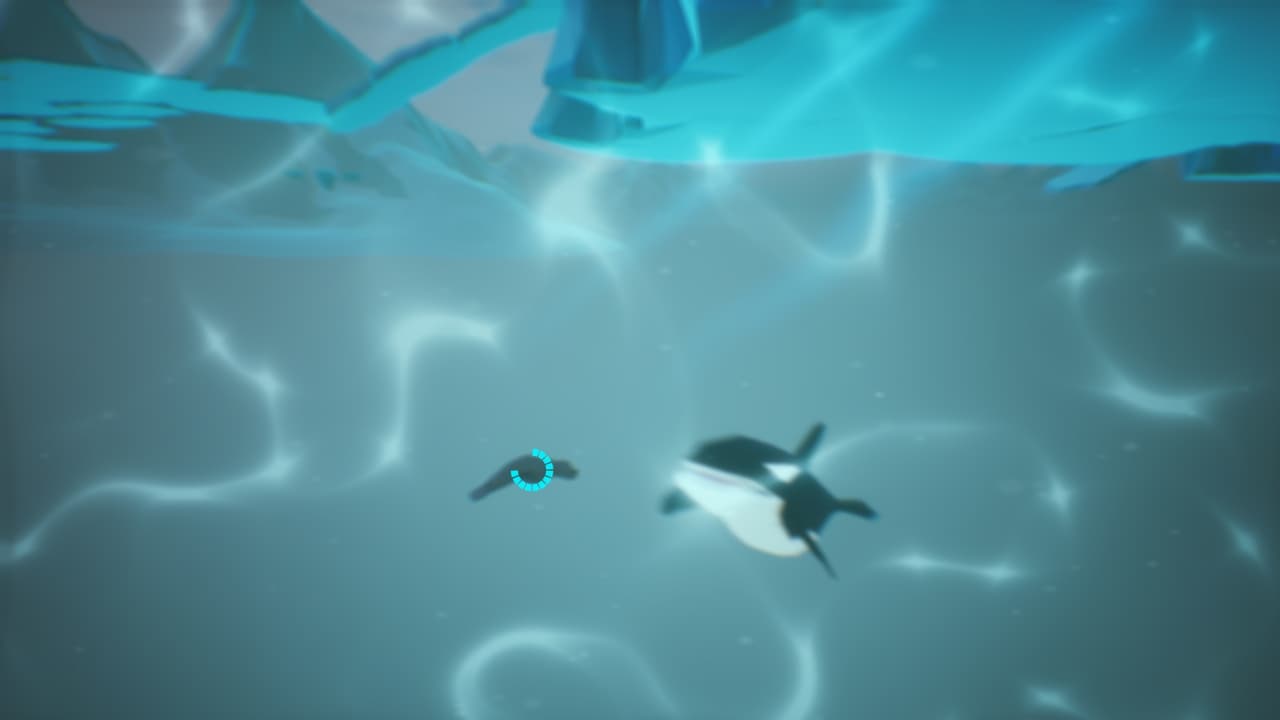Seal Downhill screenshot 5