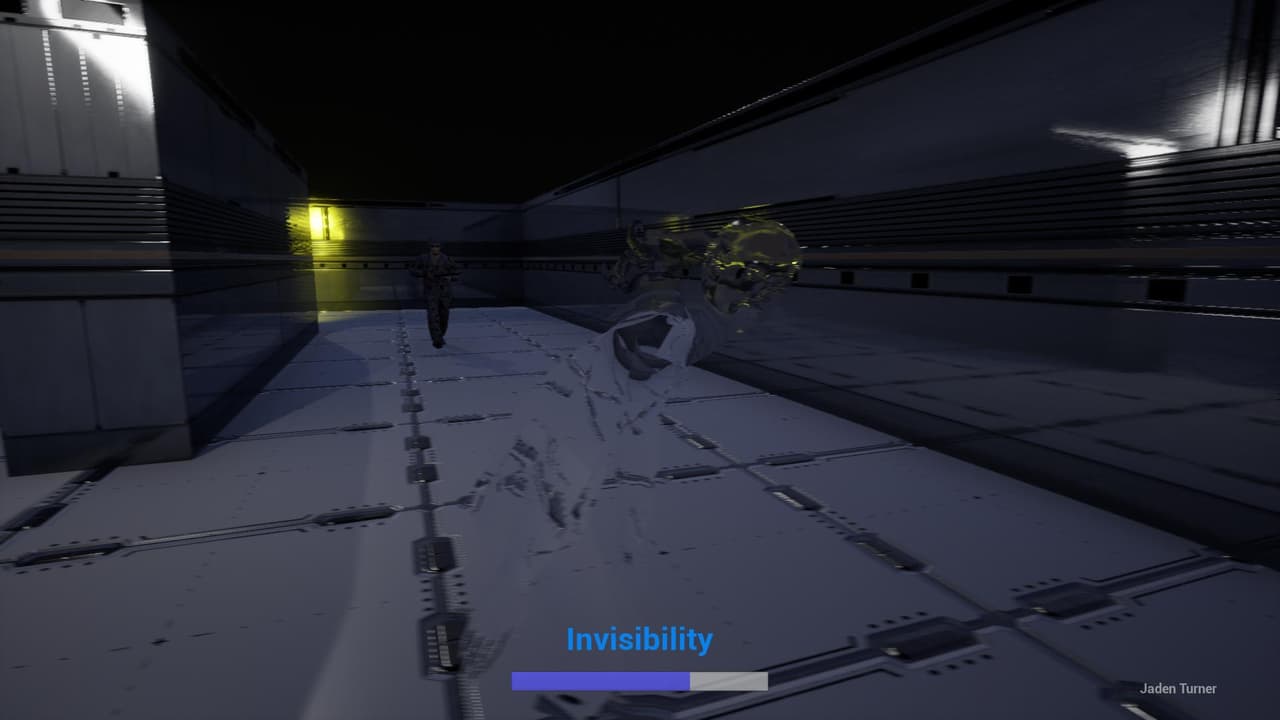 Invisibility Sucks screenshot 3