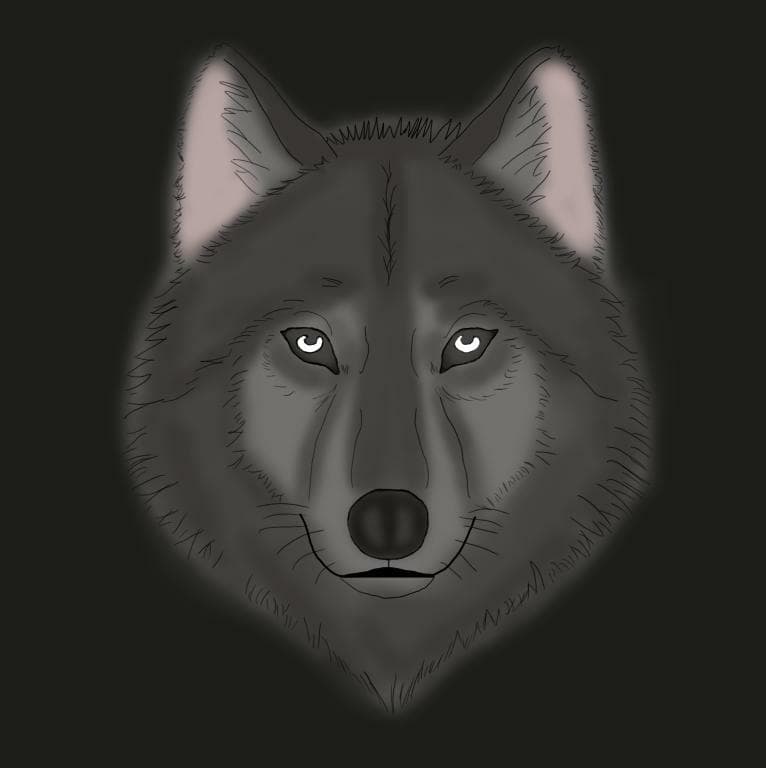 BlitzWolf