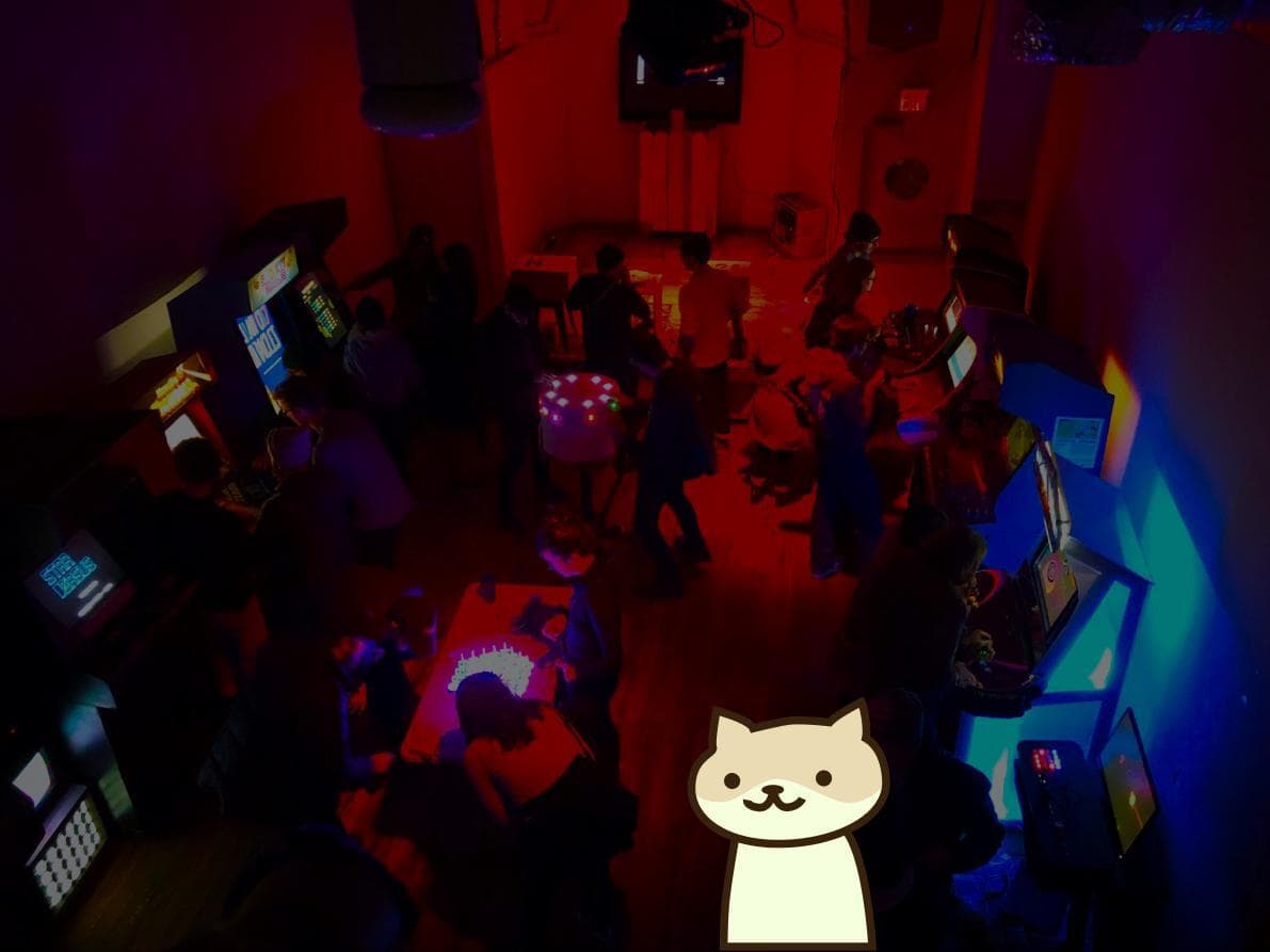 texty text cat game