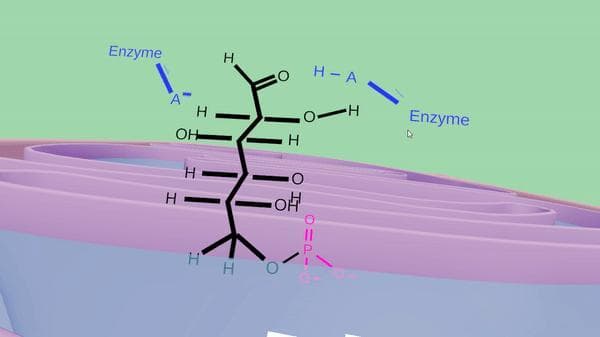 Glycolysis pathway screenshot 2