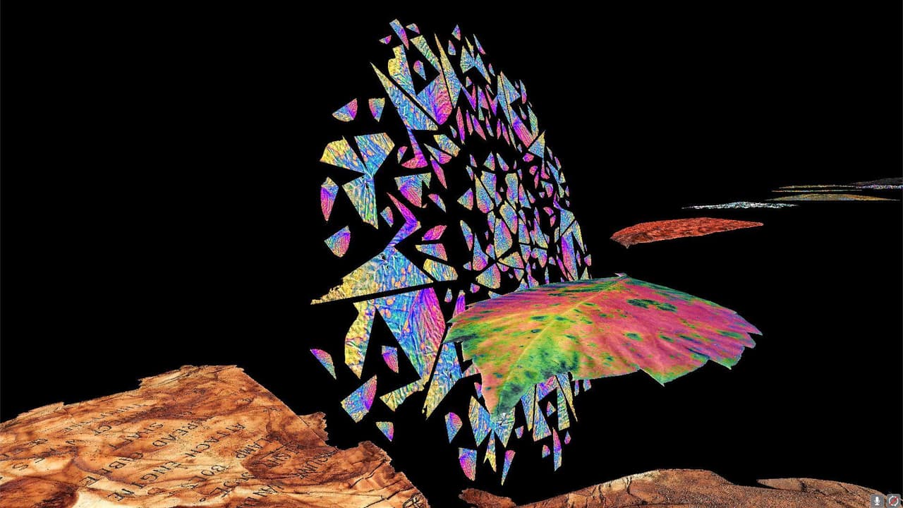 A Ponderance of Leaves screenshot 5