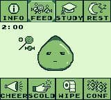 Pet.GB screenshot 4