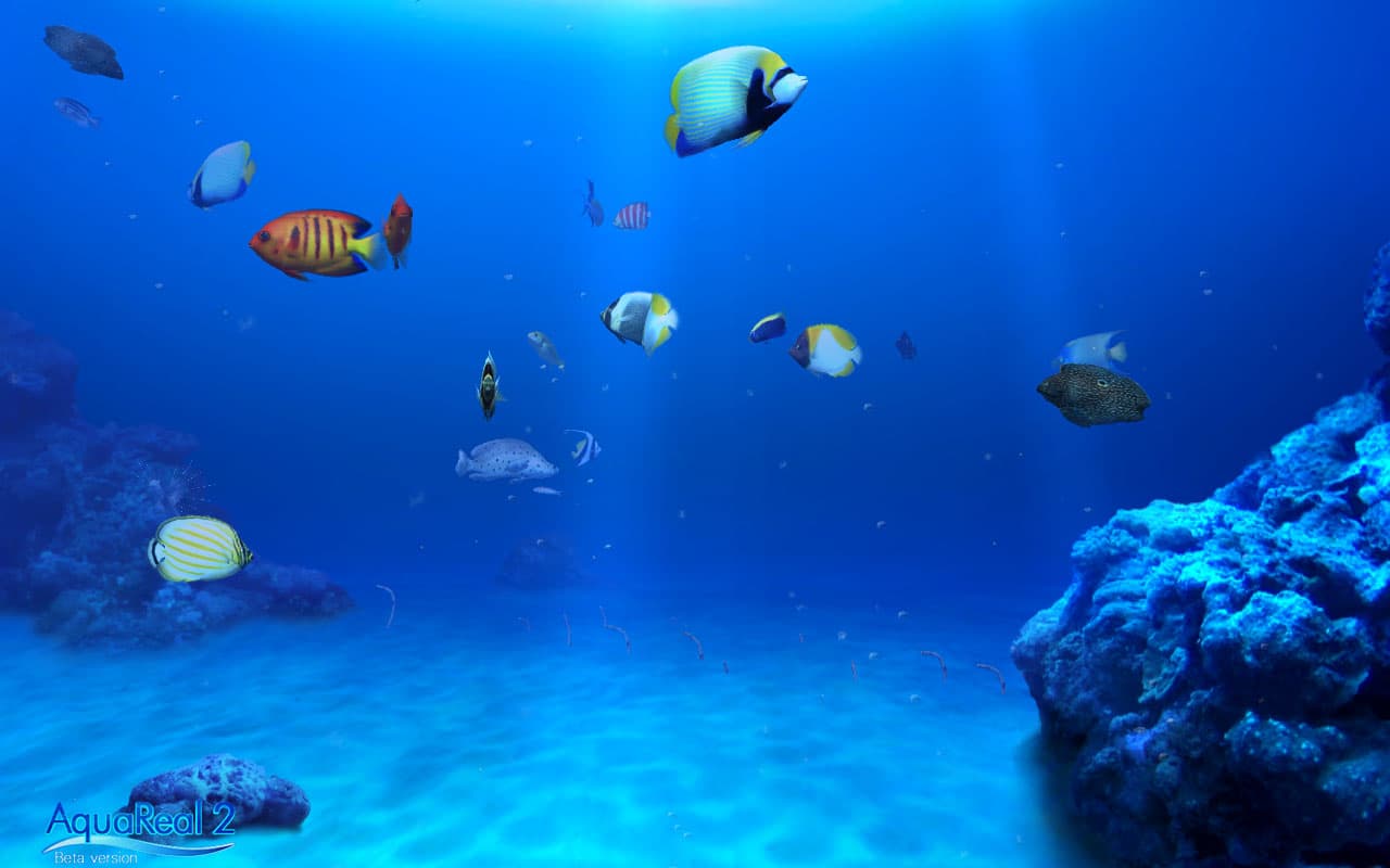 DigiFish Aqua Real 2 screenshot 4