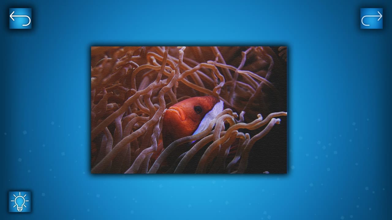 PUZZLE: OCEAN screenshot 6